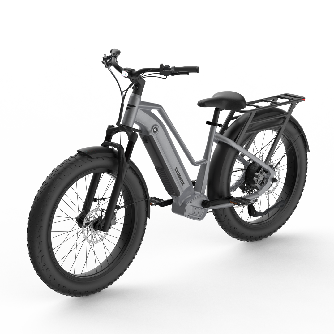 Fat Tires vs. Thin Tires on Passenger Electric Bicycles: Which Is Best?